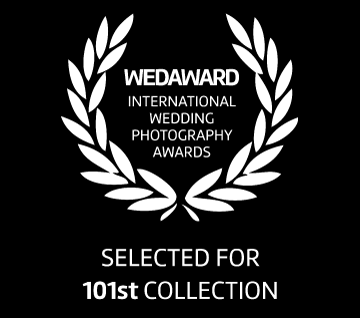 101 collection web awards